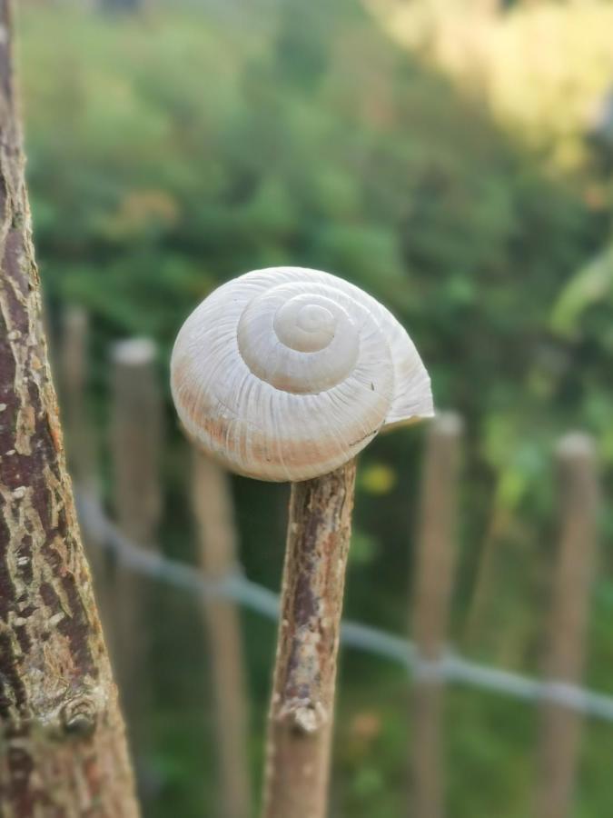 Ferienglueck An Der Nordsee Buche Deine Erdgeschoss-Ferienwohnung Mit Kamin Terrasse Und Eingezaeuntem Garten Fuer Unvergessliche Auszeiten Altfunnixsiel Bagian luar foto