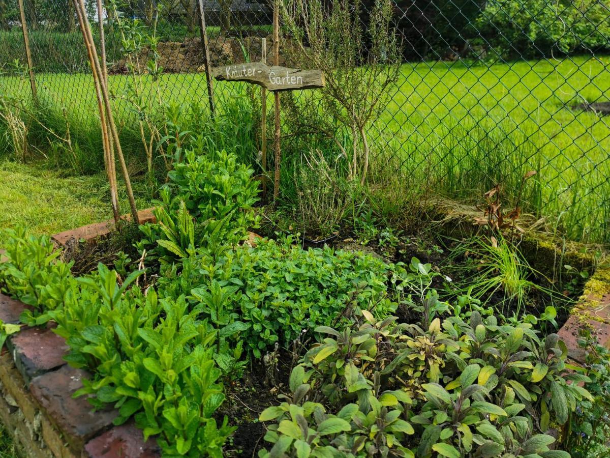 Ferienglueck An Der Nordsee Buche Deine Erdgeschoss-Ferienwohnung Mit Kamin Terrasse Und Eingezaeuntem Garten Fuer Unvergessliche Auszeiten Altfunnixsiel Bagian luar foto